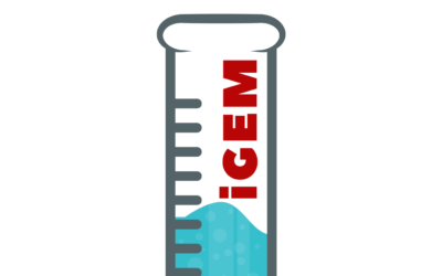 Dia-Beatable – Developing a diabetes treatment that uses glucose-induced self-amplifying mRNA