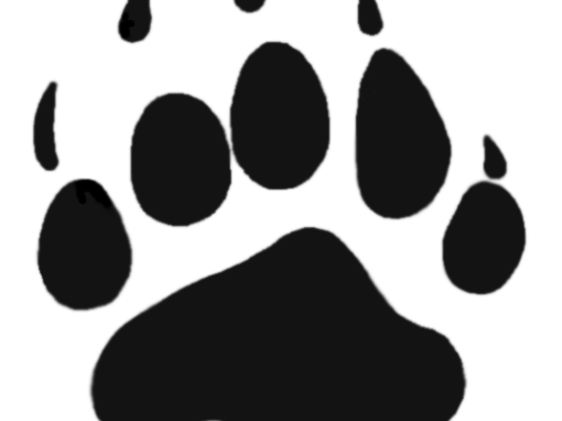 SGS St. Albert – a packaging material that can be reused SGS St. Albert – a packaging material that can be reused