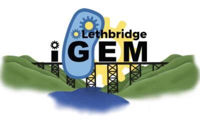 ULethbridge iGEM – a solution to the issue of blue-green algae in Southern Alberta and around the world